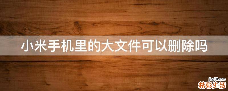 小米手機里的大文件可以刪除嗎