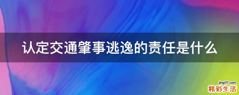 認(rèn)定交通肇事逃逸的責(zé)任是什么