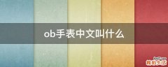 ob手表中文叫什么