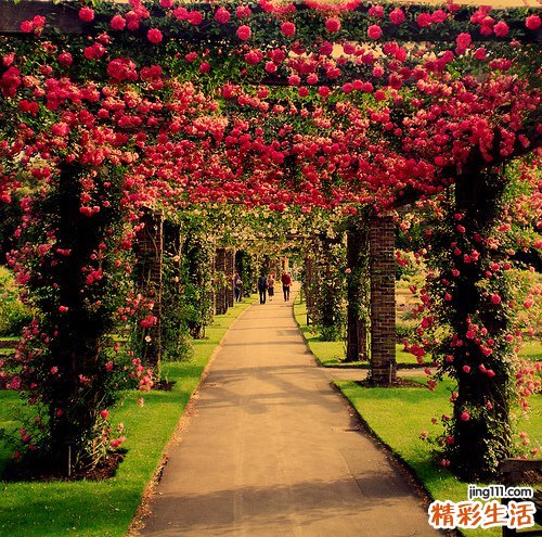 2 两种超级简单的千层饼做法