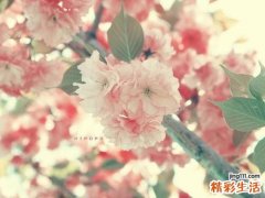 为什么怀孕容易得糖尿病