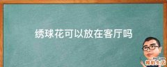 绣球花可以放在客厅吗
