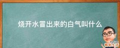 烧开水冒出来的白气叫什么