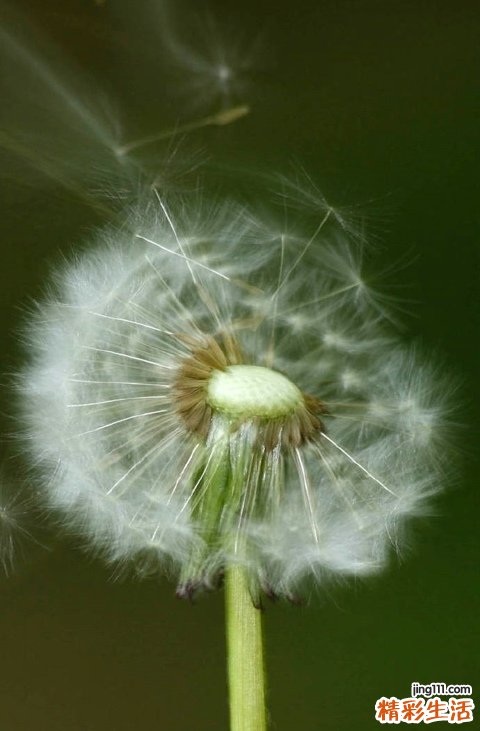 腿部减肥的按摩手法