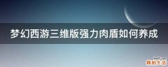 梦幻西游三维版强力肉盾如何养成