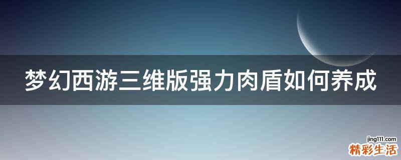 梦幻西游三维版强力肉盾如何养成