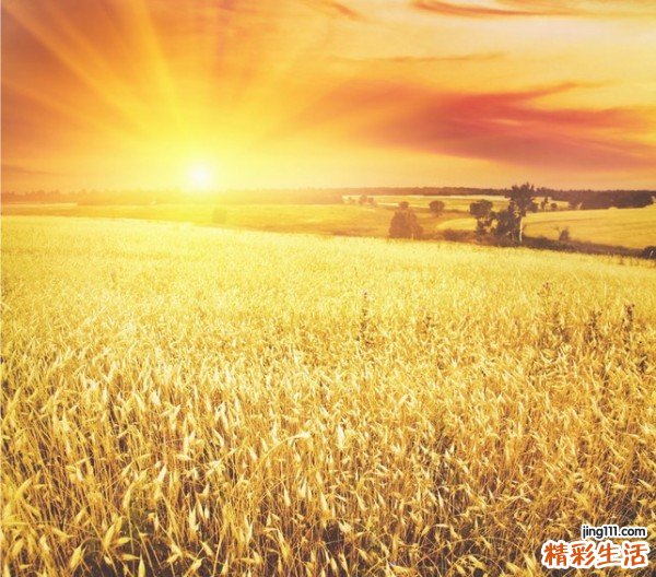 72例肾损伤特殊检查及治疗评价