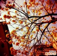 吃抗生素药血糖升高吗