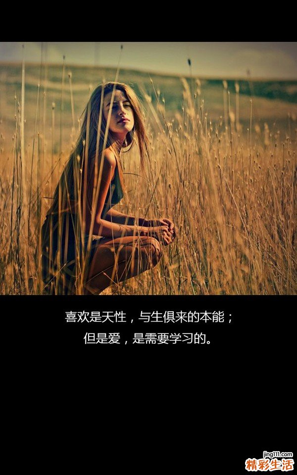 盘点海参最有营养的十二大食谱