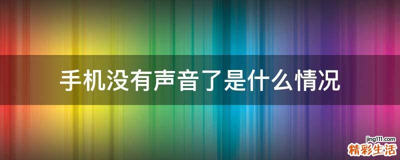 手机没有声音了是什么情况