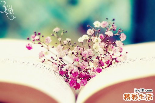 天麻的功效与11种最佳吃法