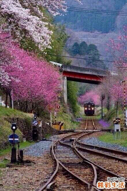 2岁宝宝为何吃过早饭就吐？