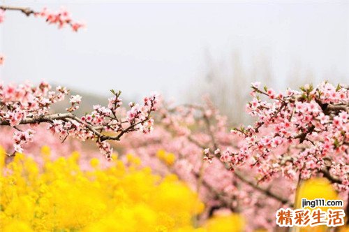 孕妇吃怎样预防糖尿病