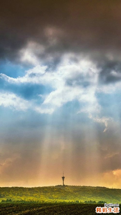 卷柏的药用价值_卷柏的副作用