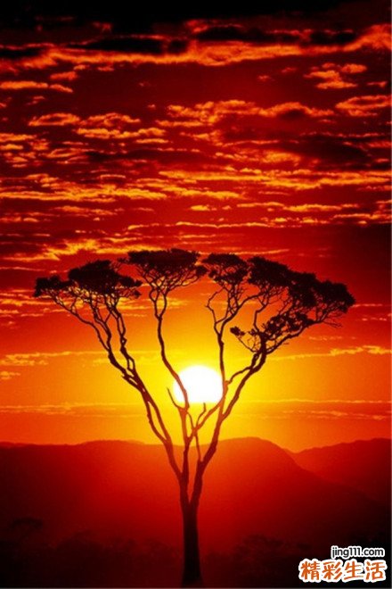 是什么带走了帕瓦罗蒂的生命？