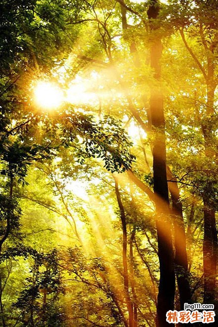 早期的青光眼症状表现