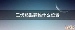 三伏贴贴颈椎什么位置