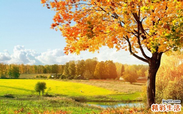 脑出血术后吃什么好