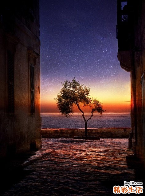 对皮肤有害的食物