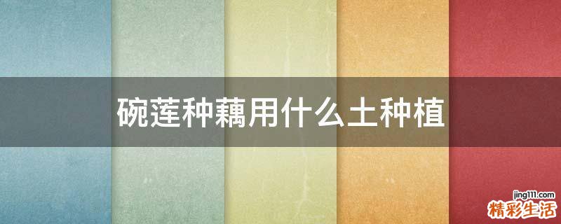 碗蓮種藕用什么土種植