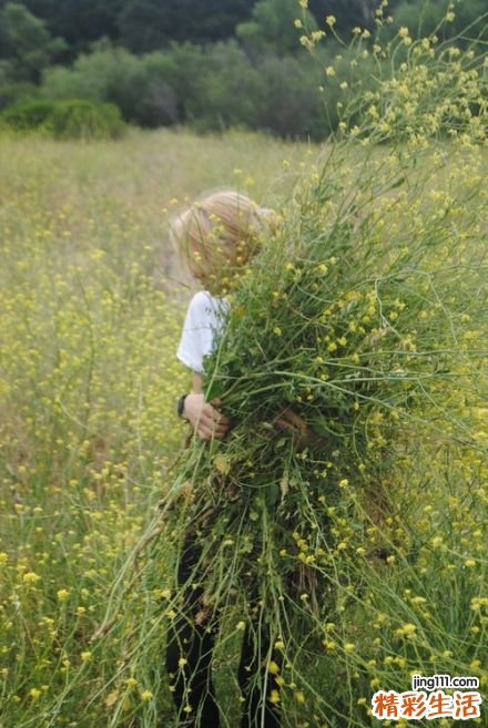肾梗阻怎样确诊