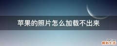 苹果的照片怎么加载不出来