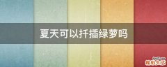 夏天可以扦插绿萝吗