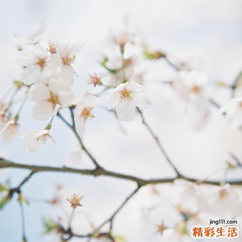 视网膜脱离治疗方法