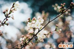 胃增生分为几种