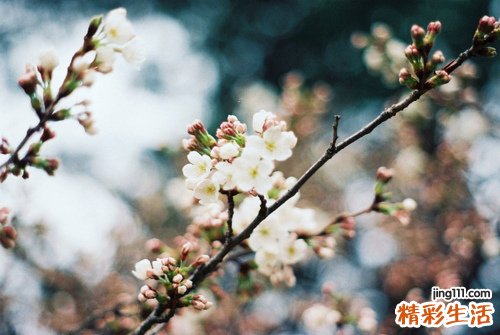 胃增生分为几种