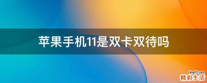 苹果手机11是双卡双待吗