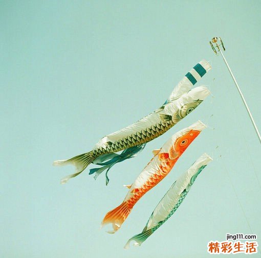 绿萼梅的功效与作用