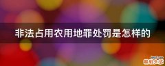 非法占用农用地罪处罚是怎样的