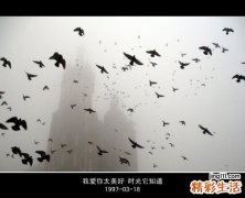 不稳定血红蛋白病