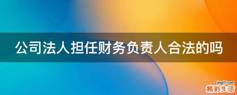 公司法人担任财务负责人合法的吗