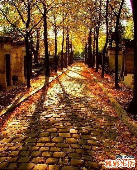 冬至养生保健的技巧