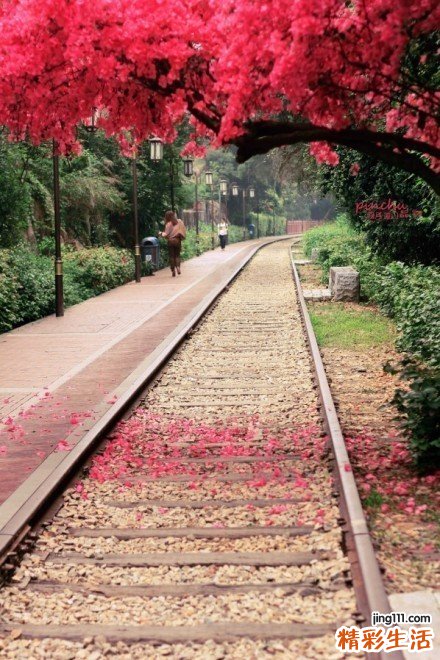 冬至节气女性如何养生