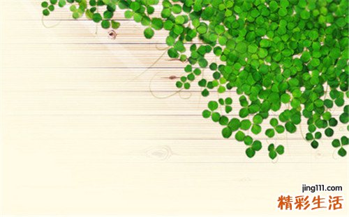 立春时节应该如何养生