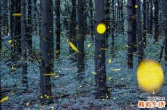 糖尿病晚期治疗还有用吗