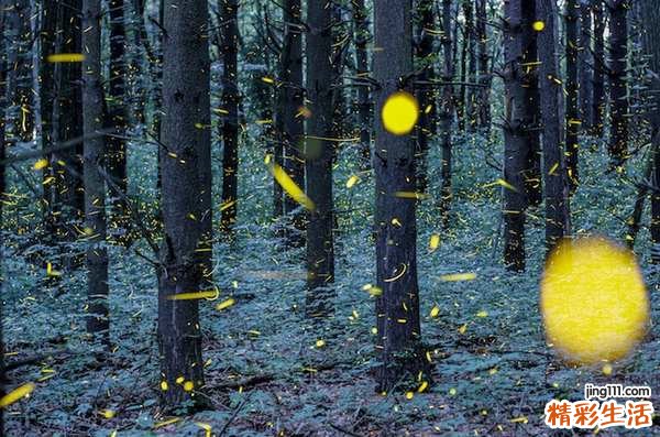 糖尿病晚期治疗还有用吗