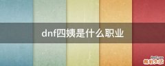 dnf四姨是什么职业