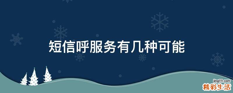 短信呼服务有几种可能