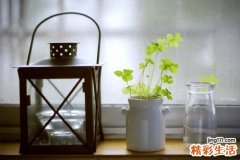月经期不能吃什么东西