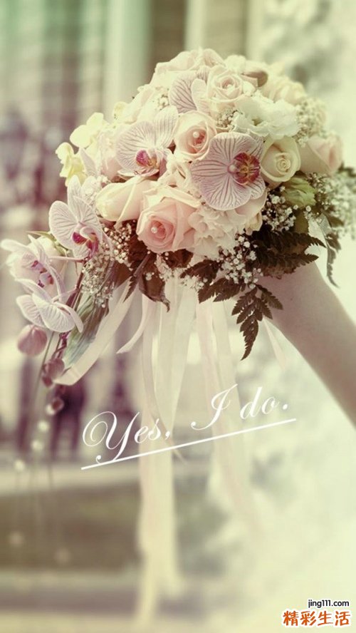 秋季防燥食物有哪些