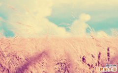 意大利见面礼仪