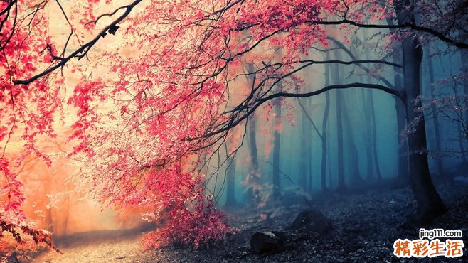 女性怎样增大乳房