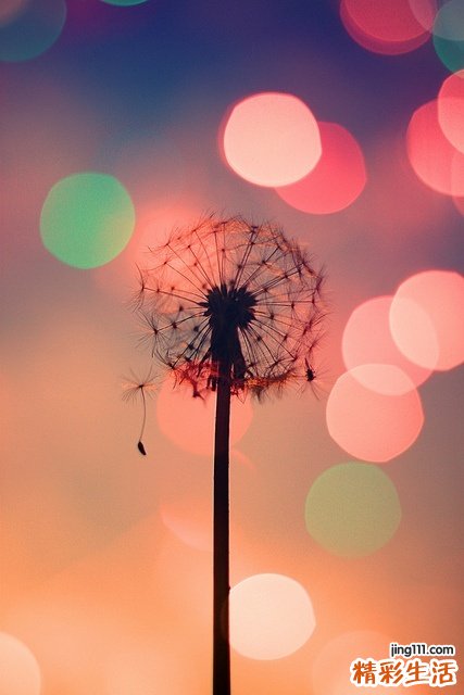 冬季坐月子的饮食原则