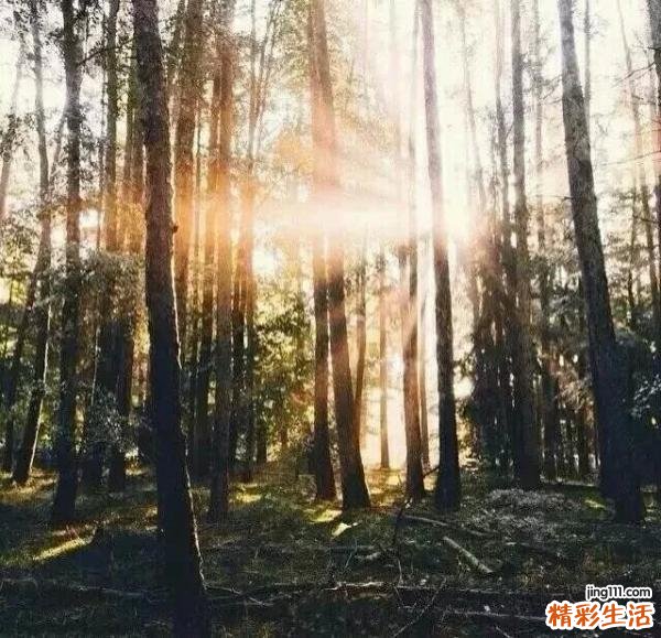 冬季皮肤干燥怎么补水