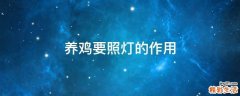 养鸡要照灯的作用