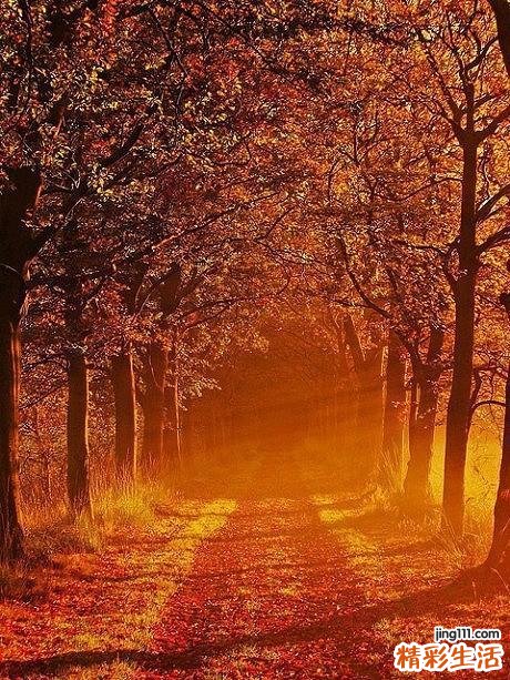 白带发黄是怎么回事